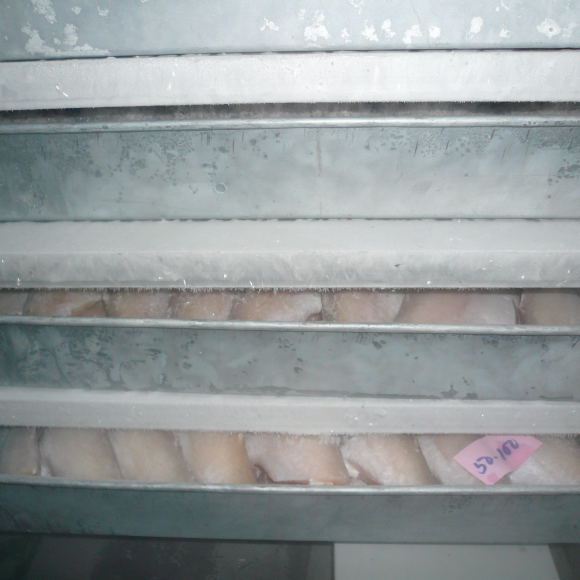 Tủ Đông Tiếp Xúc Hiệp Tân