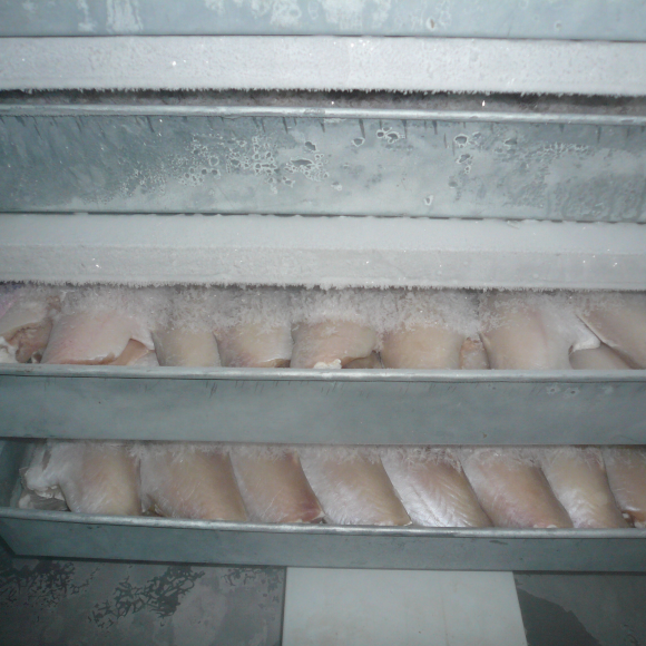 Tủ Đông Tiếp Xúc Hiệp Tân