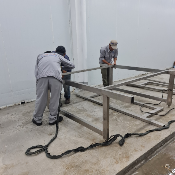 Xây Dựng Băng Chuyền IQF Chất Lượng