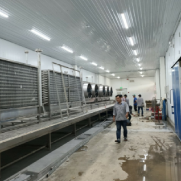 Băng Chuyền IQF Hiệp Tân